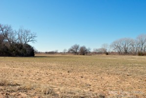 Picture 58