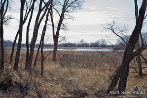Picture 69