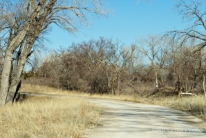 Picture 75