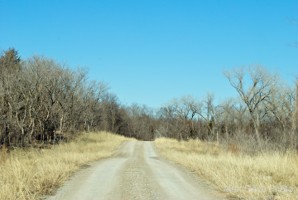 Picture 81