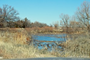 Picture 82