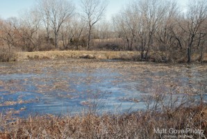 Picture 85