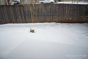 Picture 15