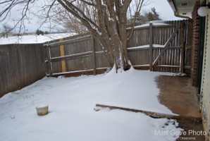 Picture 18