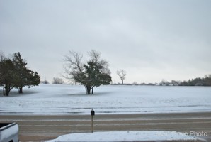 Picture 27