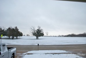 Picture 28