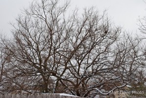 Picture 31