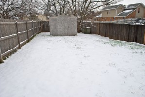 Picture 32