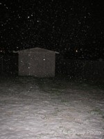 Picture 9