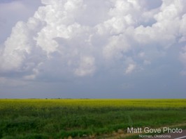 Picture 10