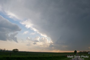 Picture 29