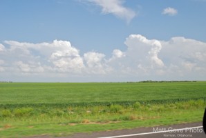 Picture 4