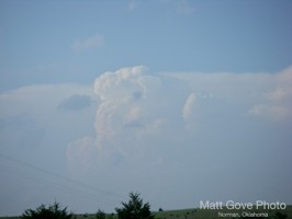 Picture 1