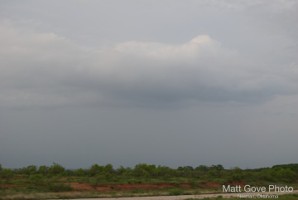 Picture 13