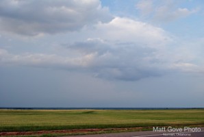 Picture 31