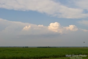 Picture 5