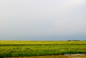 Picture 50