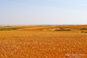 Picture 11