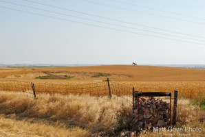 Picture 18