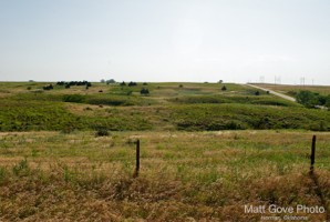 Picture 31