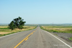 Picture 38
