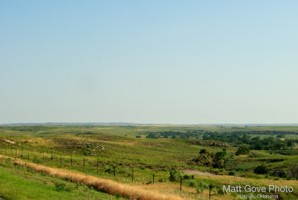 Picture 41