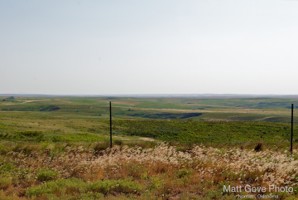 Picture 42