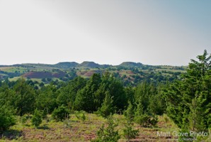 Picture 46