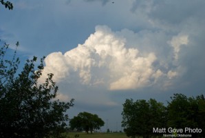 Picture 12
