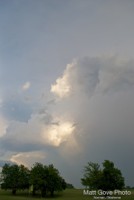 Picture 26