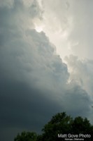 Picture 29
