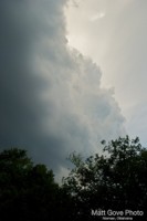 Picture 31