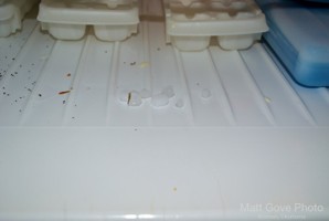 Picture 34