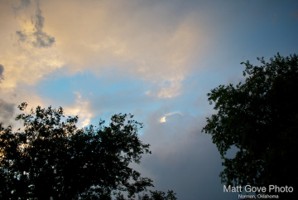 Picture 41
