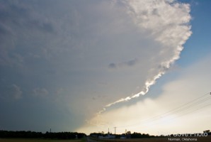 Picture 12