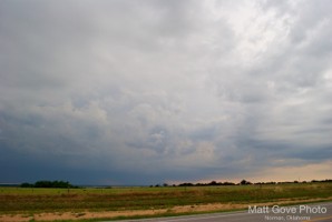 Picture 29