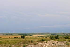 Picture 5