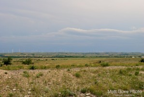 Picture 8