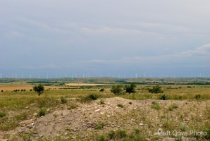Picture 9