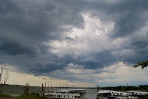 Picture 15