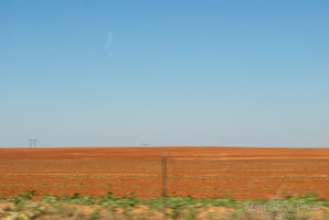 Picture 15