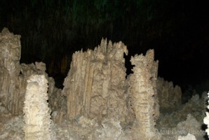 Picture 198