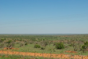Picture 29