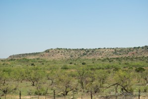 Picture 37