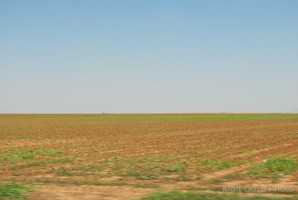 Picture 47