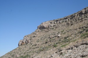Picture 33