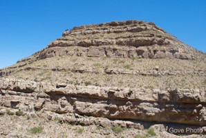 Picture 39
