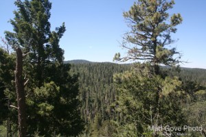 Picture 52