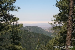 Picture 53
