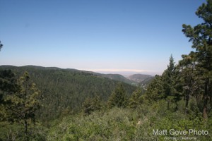 Picture 54